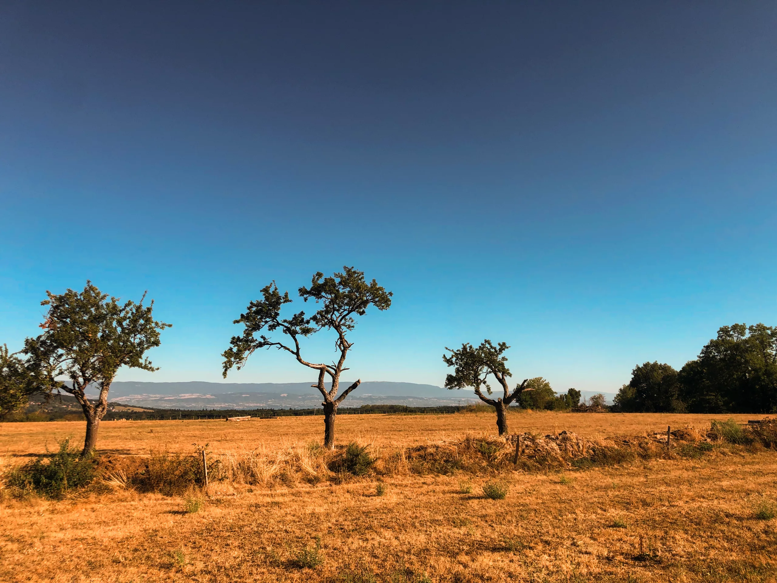 Paysage